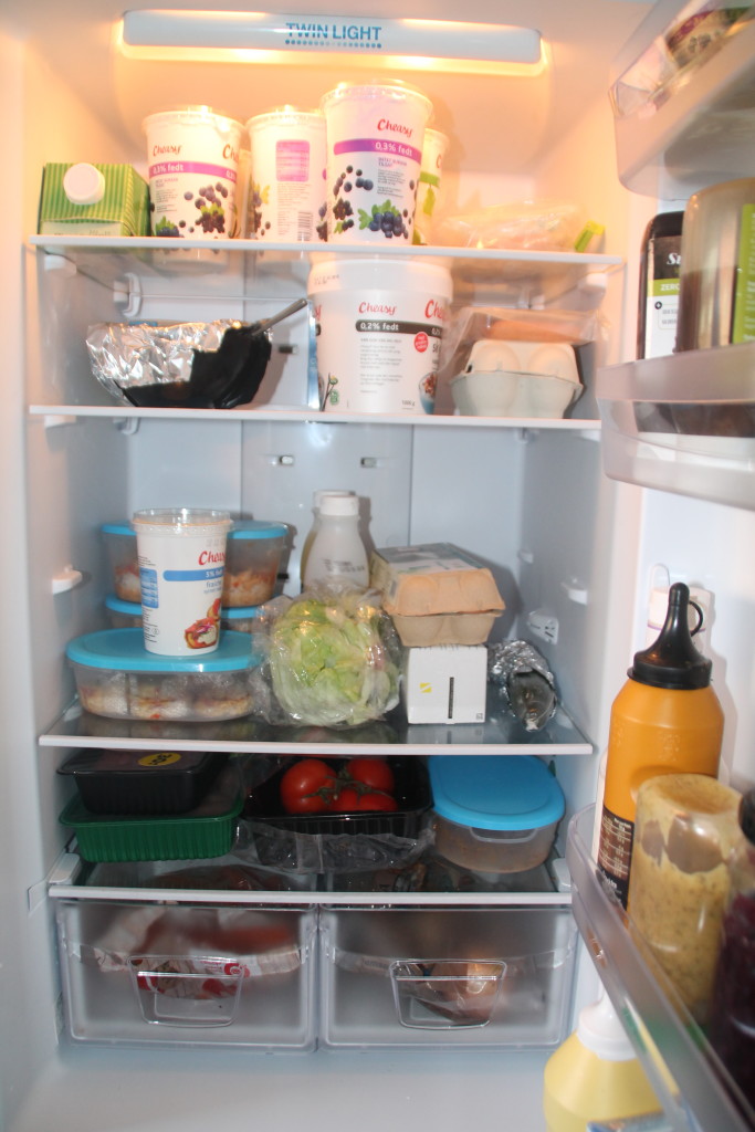Mattis køleskab (1)